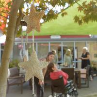 Argo Trust - Disability Support