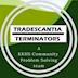 Tradescantia Terminators 