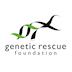 The Genetic Rescue Foundation's avatar