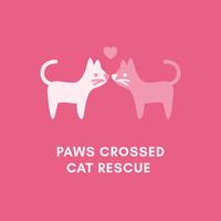 Paws Crossed Cat Rescue