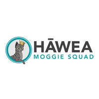 Hawea Moggie Squad