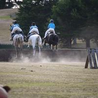 Kapiti Pony Club Inc