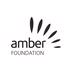 Amber Foundation's avatar