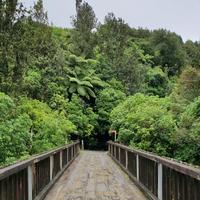 Te Araroa Manawatū Trust