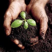 Wai ora Christian Community Trust