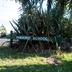 Waikino School