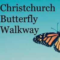 Christchurch Butterfly Walkway