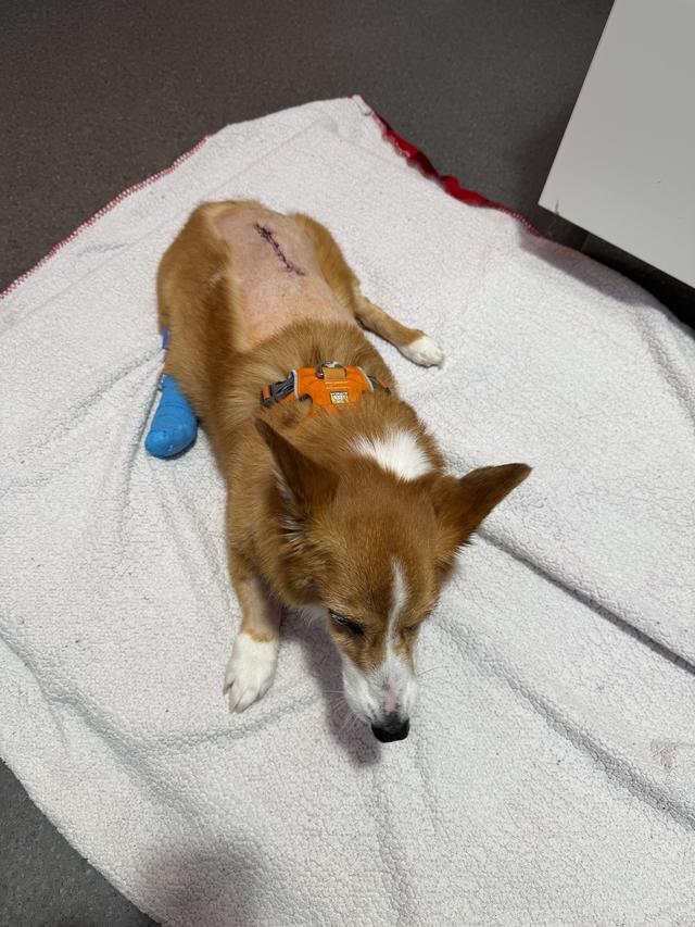Update image