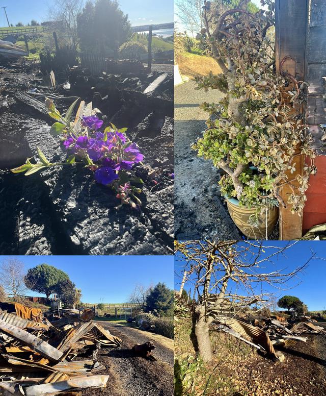 Update image