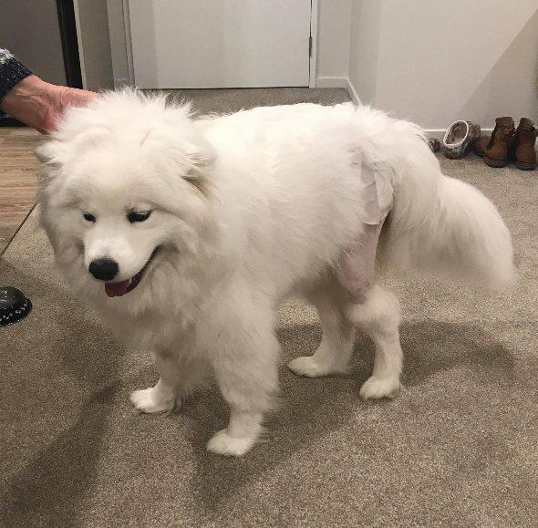 Main image