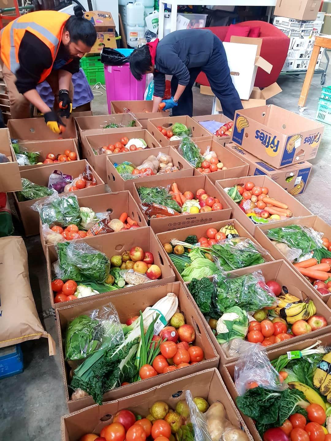 st vincent de paul food bank auckland