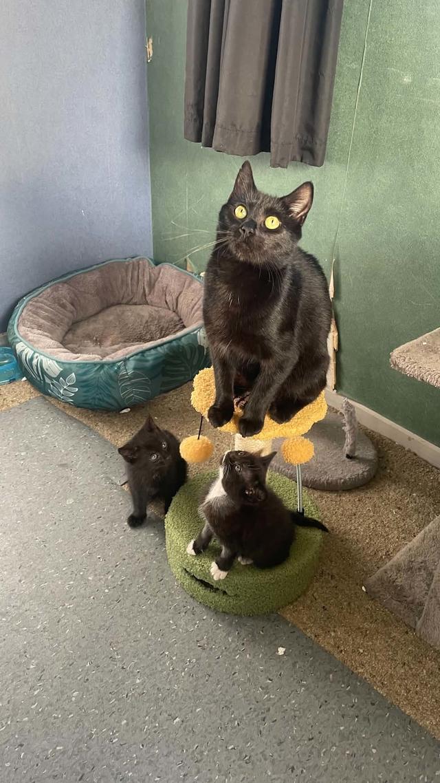 Update image