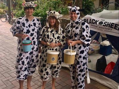 Black Sheep 2020 Annual Street Appeal