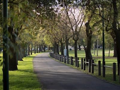 7 laps for 7 causes (Birthday half marathon)