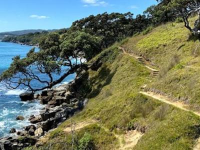 Wairahi Tracks Charitable Trust