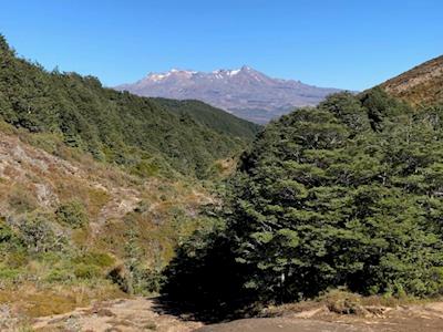 Who knows when you need an ambulance