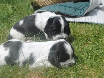 Michael Lee Drops for Youth