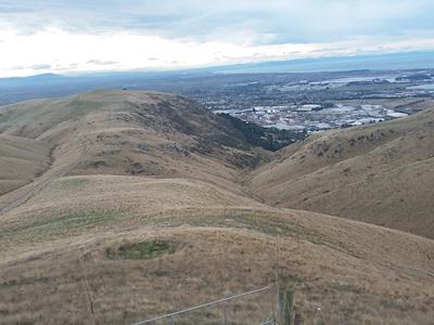 Avoca Valley Planting Project