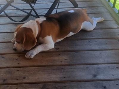 Help me to reach my mom in New Zealand