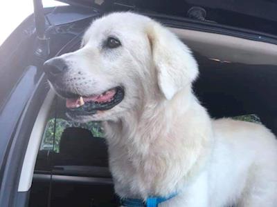 Let's give Adira that second chance