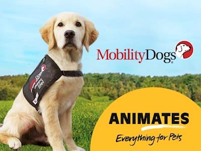 'Raise-a-Puppy' with Animates