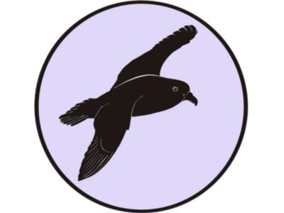 Ōi / Grey-faced petrel