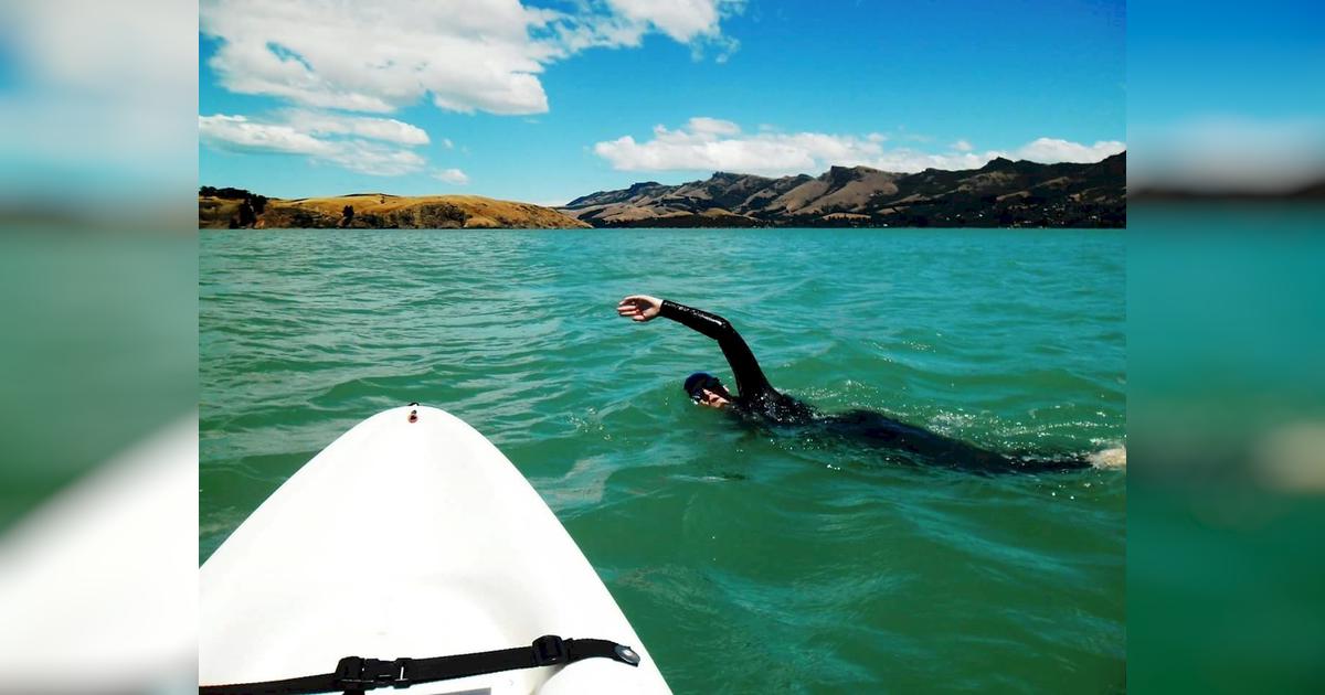 Savannah's Cook Strait Swim - Givealittle