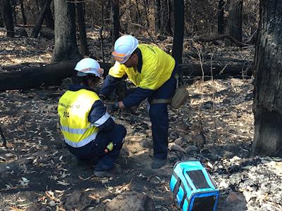 Help animals affected by disaster - Australia Fires