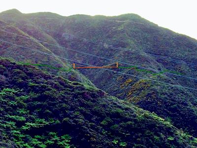 Makara Peak Easy Up Track & Suspension Bridge