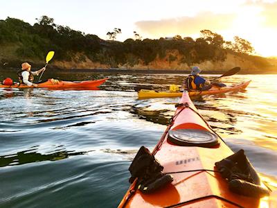 Give Adventure Specialties a Home!