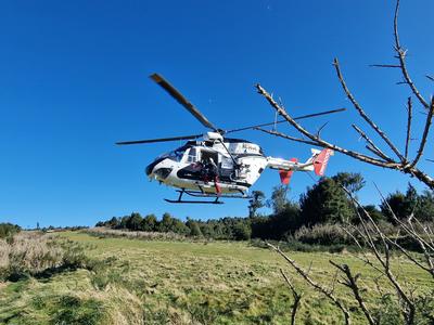 Tauranga Trailblazers