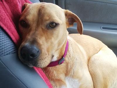 Can you help with some of the costs towards Adina's onward journey