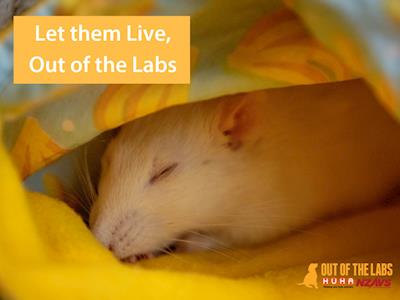 Give Lab Animals A Second Chance!