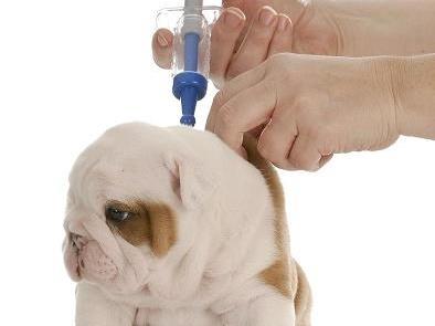 Project Vaccination Domination