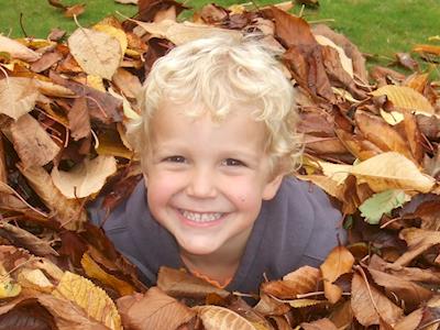 Teacher Education Programme: Understanding Kids With Arthritis