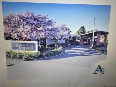 Shaving my head again