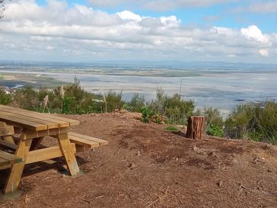 Plants for the Moanataiari Lookout
