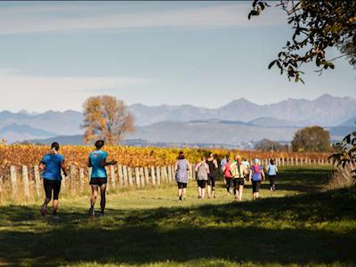 We're doing the walking and we need you!