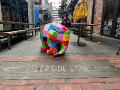 Elmer's Ōtautahi Elephant Trail in support of Laura Fergusson Brain Injury Trust