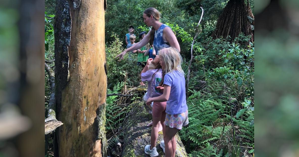 Fundraising for Ohinemahuta Nature School Limited - Givealittle