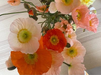 Bday Fundraiser for MS Research NZ