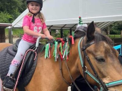 Pippin needs a new Saddle!