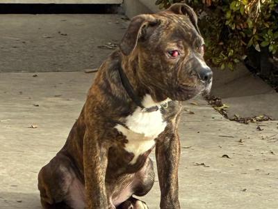 Help Jojo heal and find his happily ever after