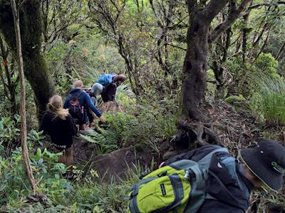 The Willacy's Nugget for TSC
