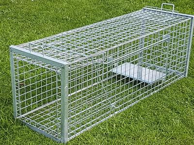 Warning this is a trap: