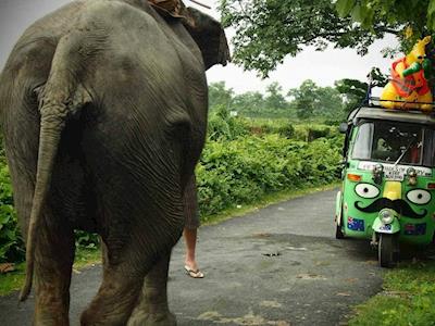 Tuk Tuk Boom - Rickshaw Run April 2017