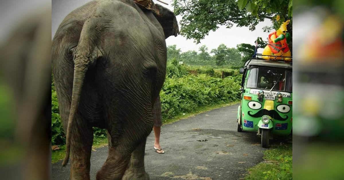 Tuk Tuk Boom Rickshaw Run April 2017 Givealittle