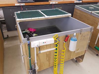 Raising money to complete our avian hospital pens