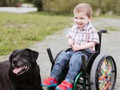 One Dollar Warriors - Fight for Hugo