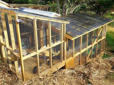 THE PAW PAD - URGENT WINTER UPGRADES